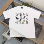 款号 Xbnb075 高版本 2025新款Stussy斯图西鸟类世界图案Logo字母印花休闲情侣宽松短袖T恤 经典永远不会过时 人手必备款 260G纯棉精梳棉不