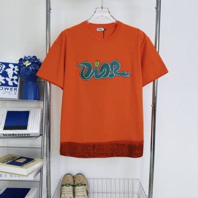 176 当天到货 现货现配 Dior 迪奥 Diorkaws 联名 25Ss蛇年限定系列重工金蛇献瑞鸿运缠身短袖T恤 独家首发高定 面料采用310克重双纱精梳棉