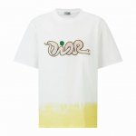 Dior 蛇年限定大刺绣短袖 面料：采用21支精梳棉双纱面料，面料布匹洗水后克重为300克。重磅面料可使上身版型有立体效果，面料做了洗柔手感充分添加上身舒适度。