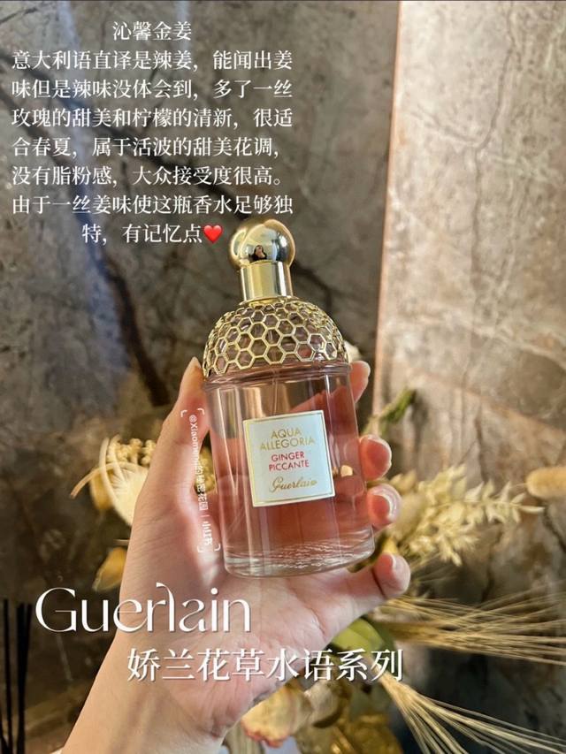 越南版本娇兰娇沁馨金姜Edt75Ml 越南进口 海关扣押 配手提袋高端产品 塑封拆毁不退换 敬请谅解！！花草水语淡香水Ginger Piccante 这是亚洲风