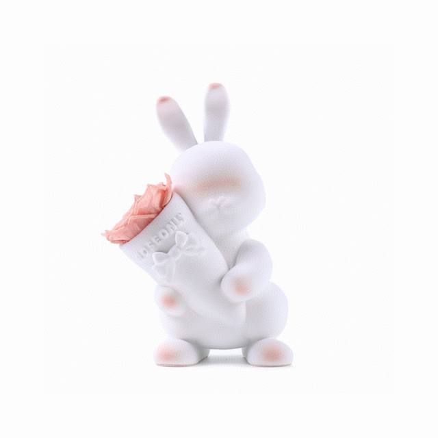 roseonly 甜心兔永生花公仔 感受温柔宠爱 延续久久浪漫 在古希腊神话中 兔子是爱与美之神阿佛罗狄忒的心爱宠物 是幸运的象征 也被女神赋予“爱情”之意。