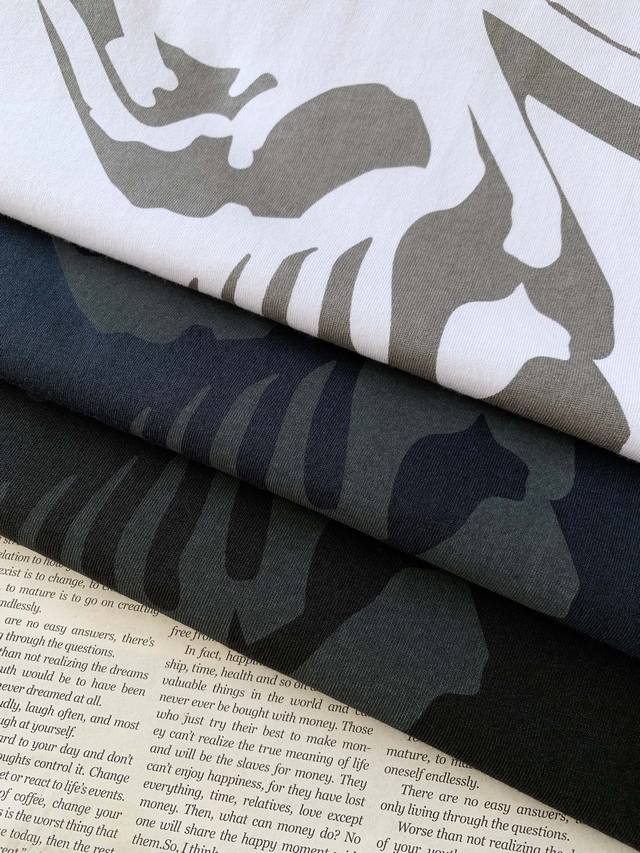 arcteryx 始祖鸟 2025Ss春夏新品 小众设计师 行走的艺术品 大鸟印花T恤 帅气清爽的设计。。让人第一眼就陷入你的魅力，满满的设计感 上身非常显气质