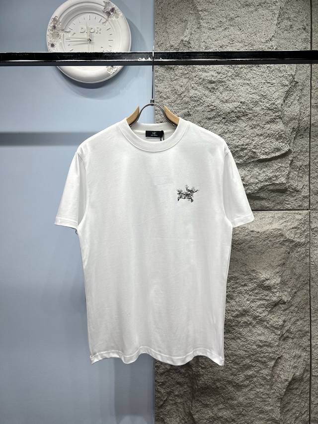 Arct*Ryx 始*鸟 2025Ss最新款雾霾字母T恤定制280克全棉面料，面料柔软，亲肤舒适 印花标识字母拼接图案，图案以雾霾渐影渐显的形式展现品牌标识。一
