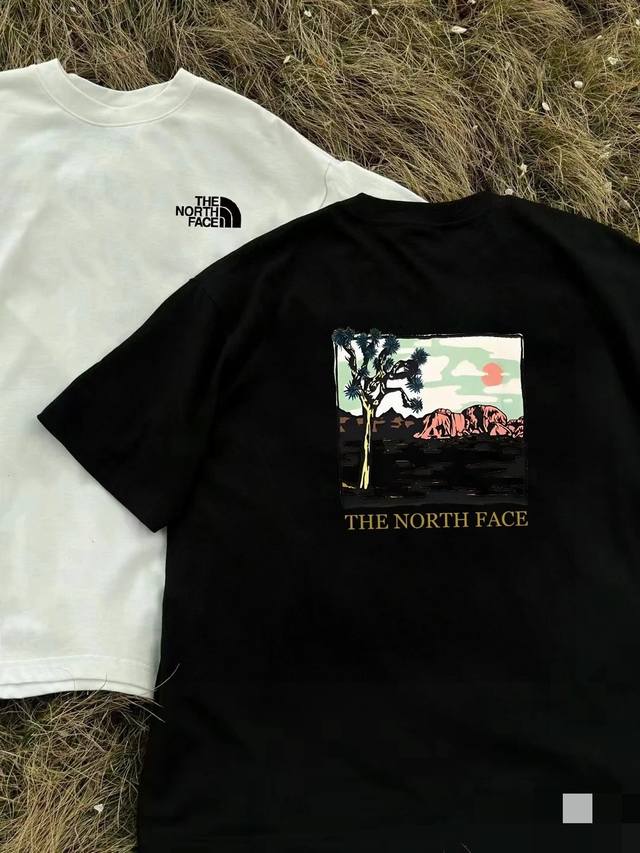 The North Face北面高品质短袖，260克双纱面料，现货可报，宽松版型，最大穿到220斤都行，码数Mlxlxxl，颜色：黑色，白色