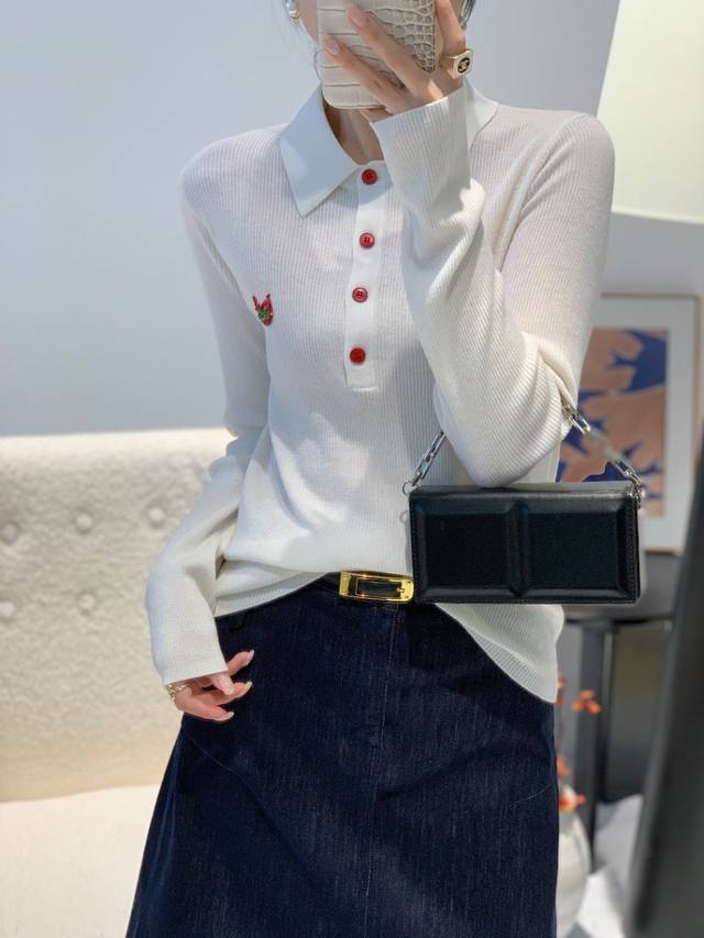 流行设计气质显瘦刺绣长袖百搭羊毛针织衫新款上衣 均码 细羊毛