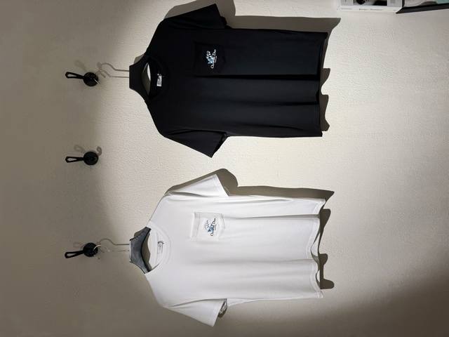 Cd 25秋冬新款莫代尔T恤.代工出品！！此款打底衫以基础的版型为框架.口袋设计.采用3D绣花工艺，细节为整体搭配起到至关重要的作用，增添了不少吸睛度，犹如画龙